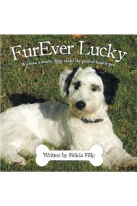 FurEver Lucky