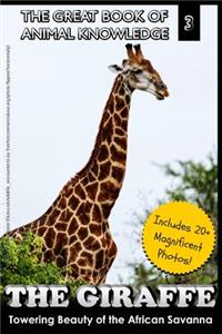 The Giraffe