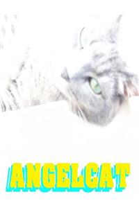 Angel Cat