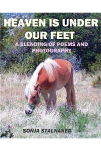 Heaven is Under Our Feet