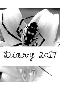 Diary 2017