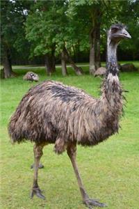 Grumpy Emu Flightless Bird Journal