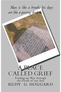 Place Called Grief: Finding my Way through the Death of our Son