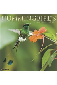 Hummingbirds 2020 Wall Calendar