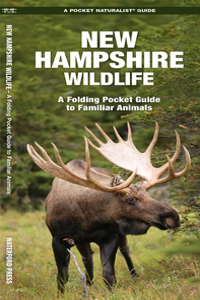 New Hampshire Wildlife