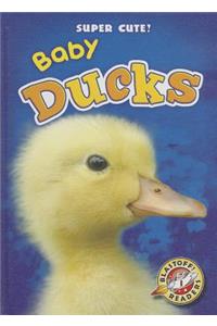 Baby Ducks