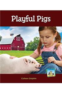 Playful Pigs