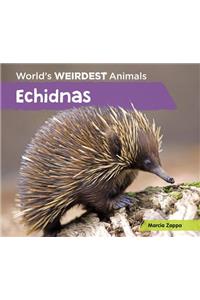 Echidnas