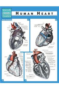 Human Heart (Speedy Study Guide)