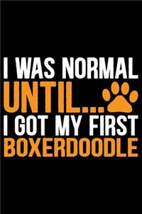 I Was Normal Until I Got My First Boxerdoodle