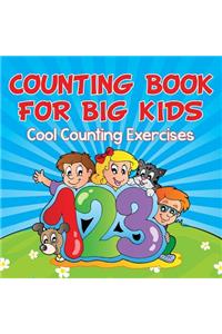 Counting Book For Big Kids