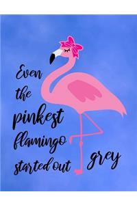 Even The Pinkest Flamingo Started Out Grey
