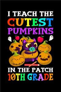 I Teach The Cutest Pumpkin In the Patch 10th grade