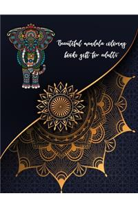 Beautiful Mandala Coloring Books for adults