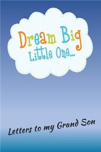 Letters to my Grandson