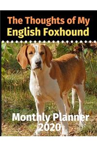 The Thoughts of My English Foxhound
