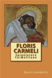 Floris Carmeli