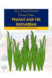 Peanut and the Sargassum: Story and Colouring Book