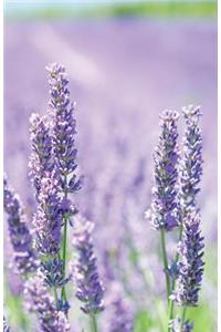 The Hacker-Proof Internet Address Password Book - Lavender Fields