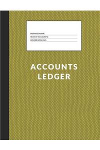Accounts Ledger