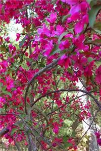 Springtime 2019 Daily Planner Glorious Flowering Tree 384 Pages