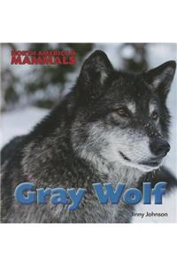 Gray Wolf