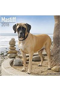 Mastiff Calendar 2018