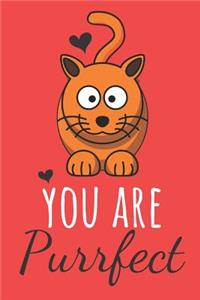 You Are Purrfect