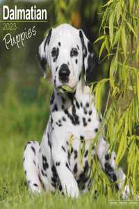 Dalmatian Puppies 2023 Wall Calendar