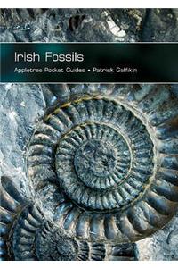 Irish Fossils