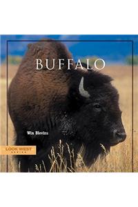 Buffalo