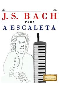 J. S. Bach Para a Escaleta