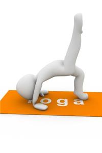 Yoga Position 19 Journal