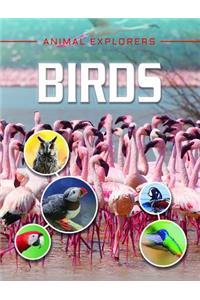 Birds