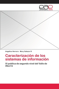 Caracterización de los sistemas de información