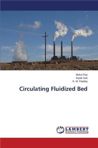 Circulating Fluidized Bed