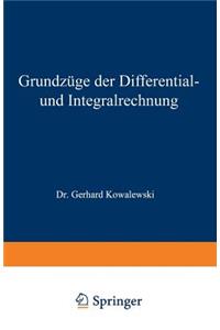 Grundzüge der Differential- und Integralrechnung