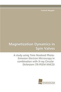 Magnetization Dynamics in Spin Valves