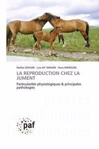 Reproduction Chez La Jument