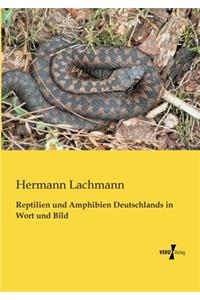 Reptilien und Amphibien Deutschlands in Wort und Bild