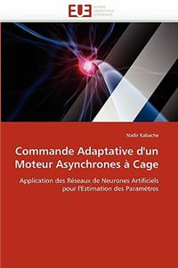 Commande Adaptative d''un Moteur Asynchrones À Cage