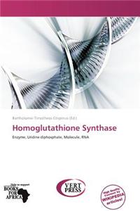 Homoglutathione Synthase