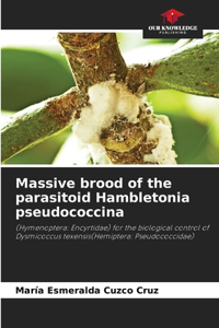 Massive brood of the parasitoid Hambletonia pseudococcina