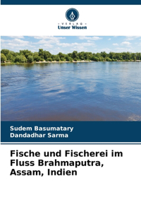 Fische und Fischerei im Fluss Brahmaputra, Assam, Indien