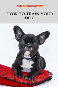 How to Train Your Dog