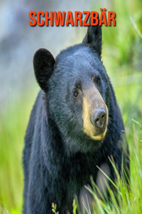 Schwarzbär