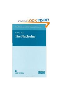 Nucleolus