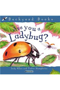 Are You a Ladybug?