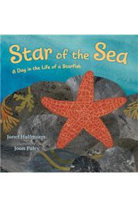 Star of the Sea