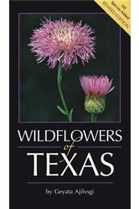 Wildflowers of Texas